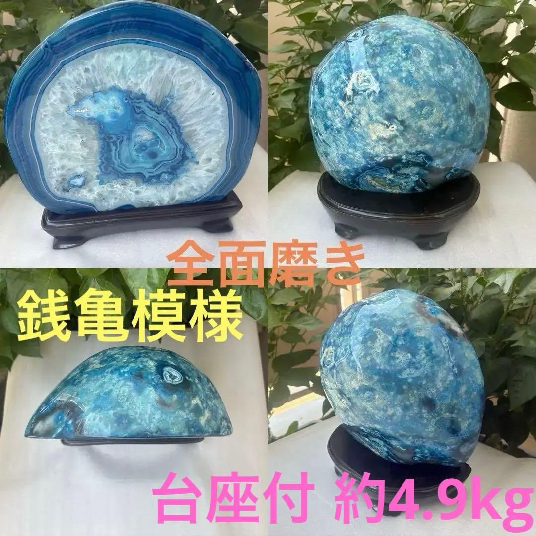 銭亀模様 青瑪瑙 天然石 原石 全面磨き 大型 インテリア 置物 台座付き