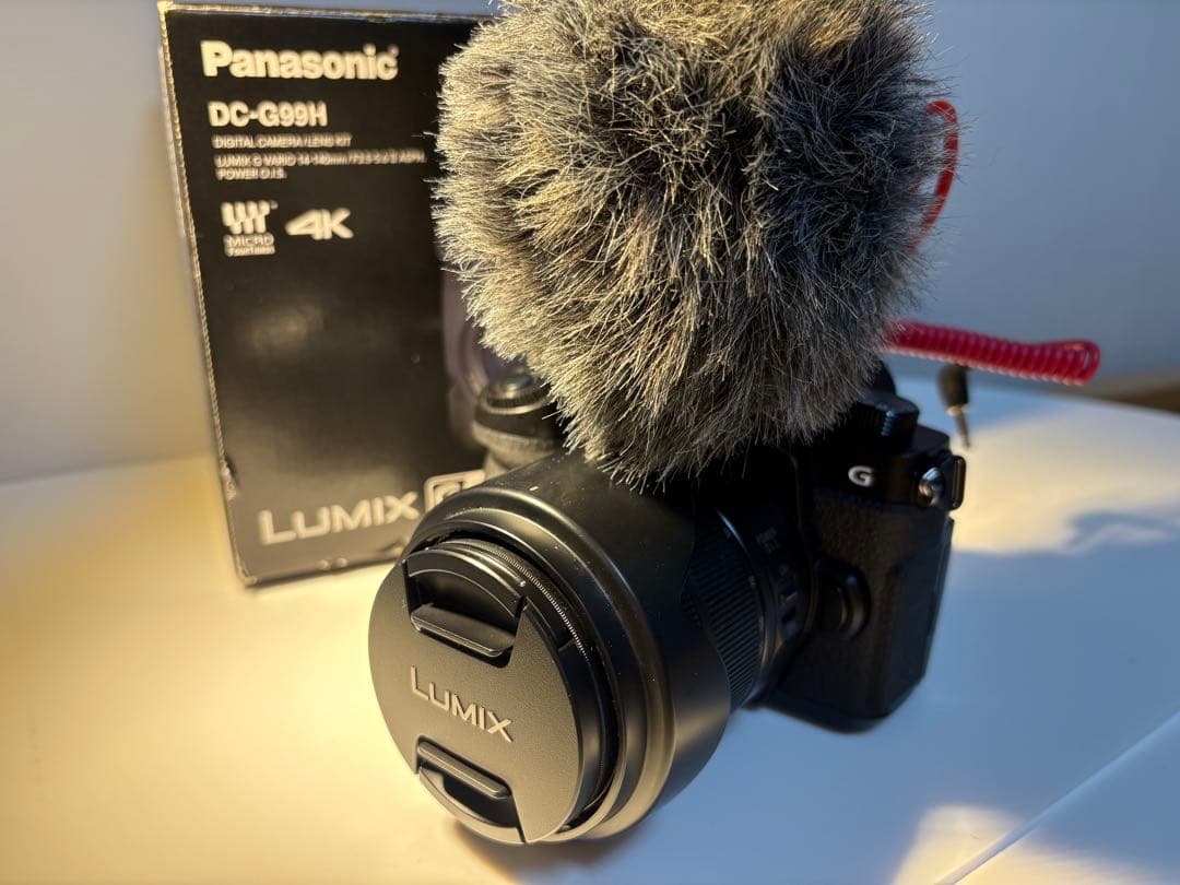 即日発送/Panasonic DC-G99H 【付属品多数】