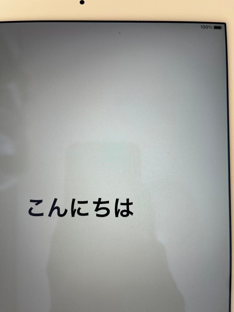 最終値下げ　iPad Air 2 16GB Gold 箱付き