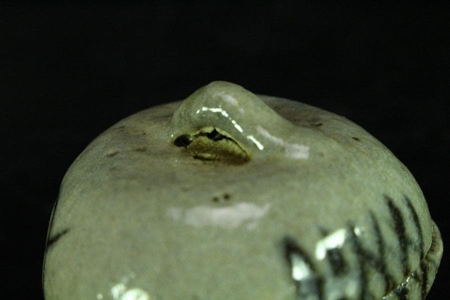 茶道具 古唐津 絵唐津 香合 時代物(K-XA861)