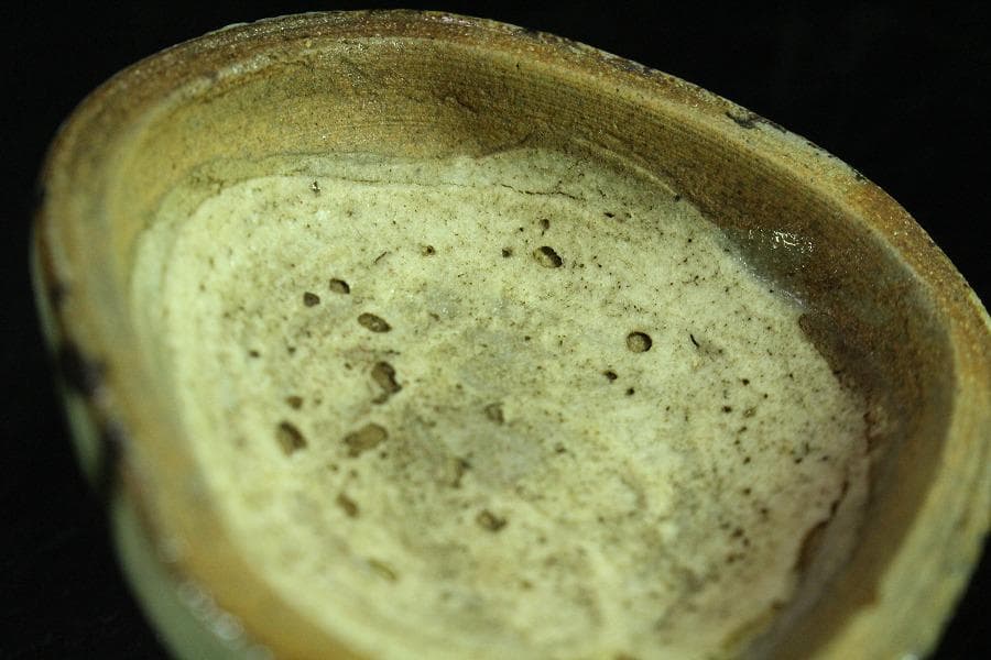 茶道具 古唐津 絵唐津 香合 時代物(K-XA861)