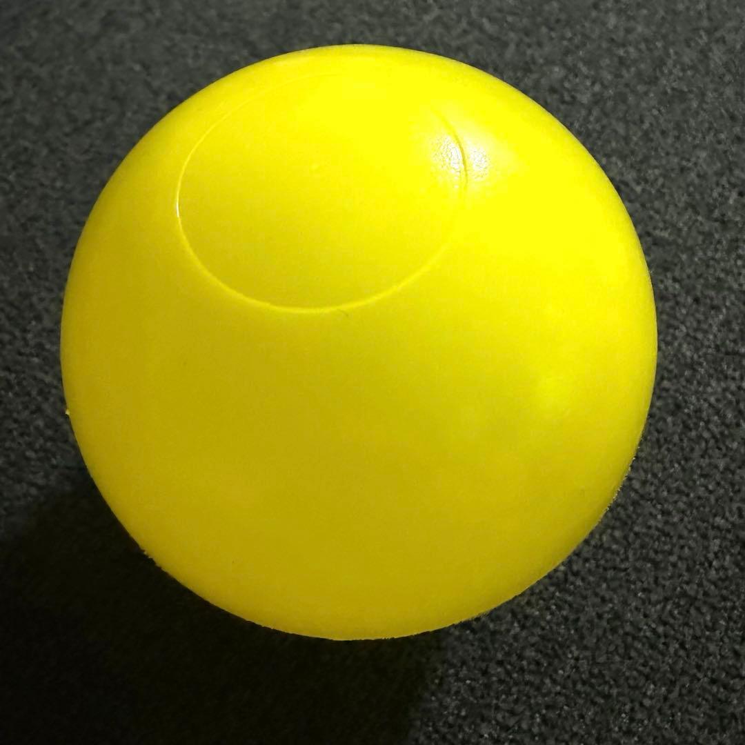 M*i様 n.SSign ロレンス　サインボール