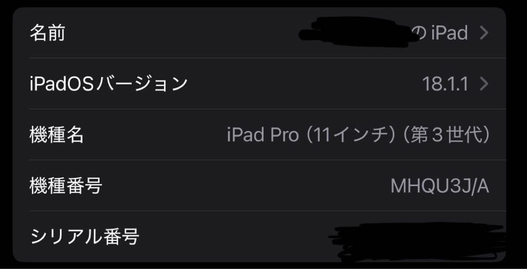 Apple iPad 11インチ 256GB Wi-Fiモデル　第3世代