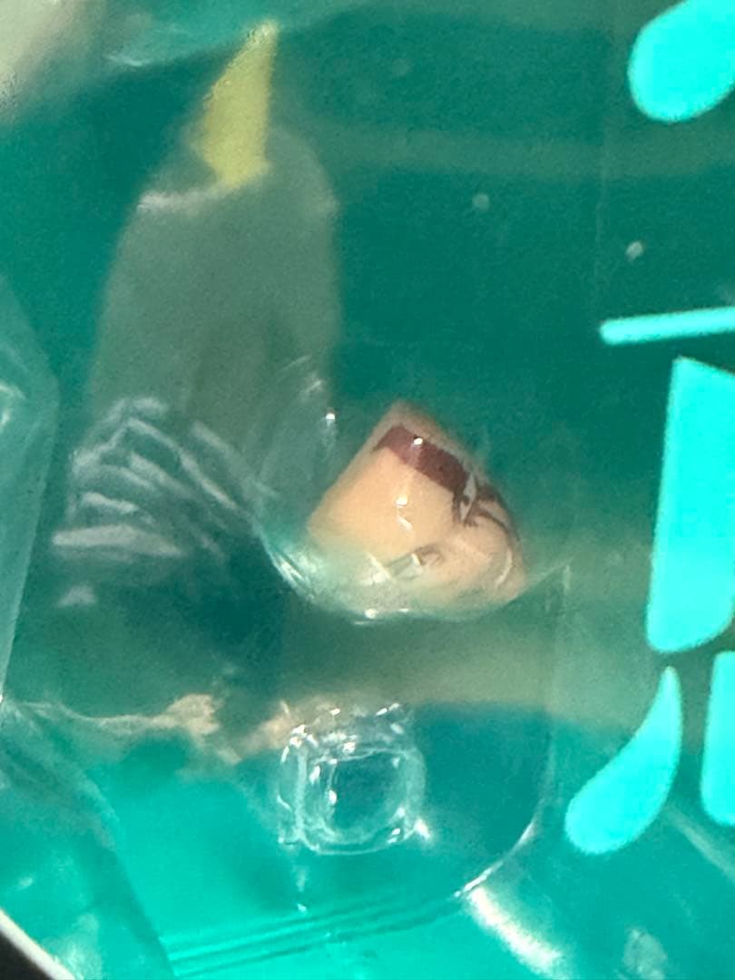 フィギュアーツzero 呪術廻戦　伏黒恵