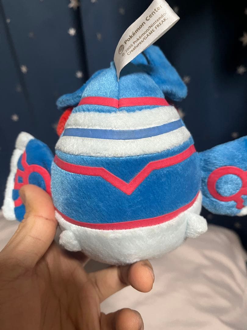 ポケドール カイオーガ 2005年 グラードン 大ぬいぐるみ 2004年