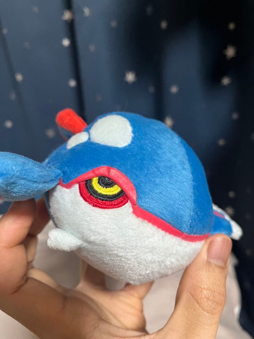 ポケドール カイオーガ 2005年 グラードン 大ぬいぐるみ 2004年