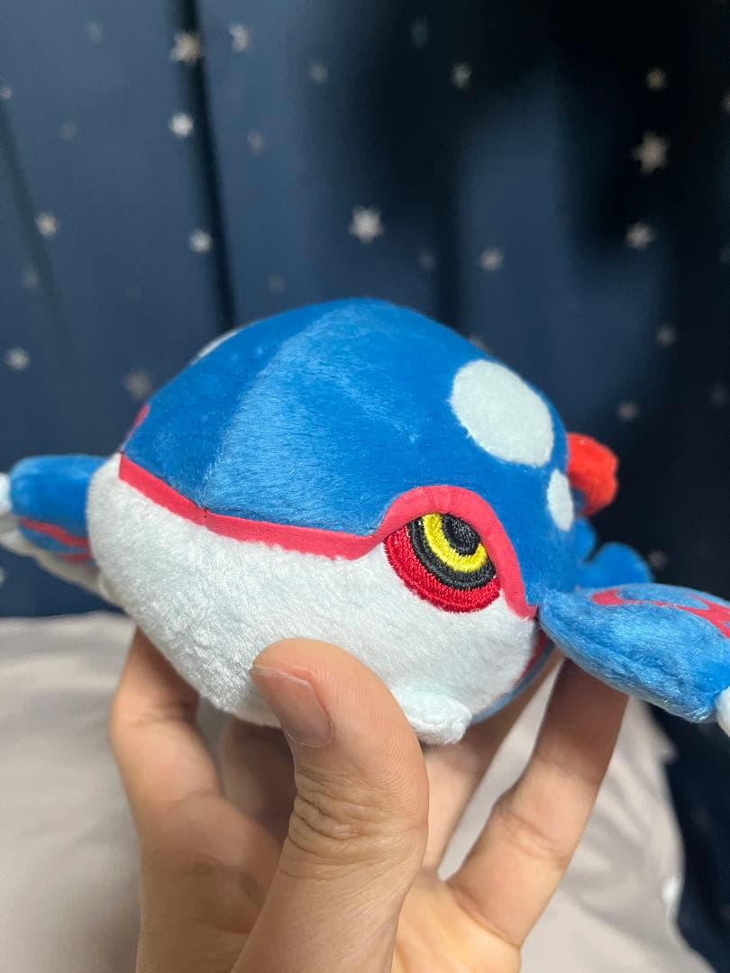 ポケドール カイオーガ 2005年 グラードン 大ぬいぐるみ 2004年