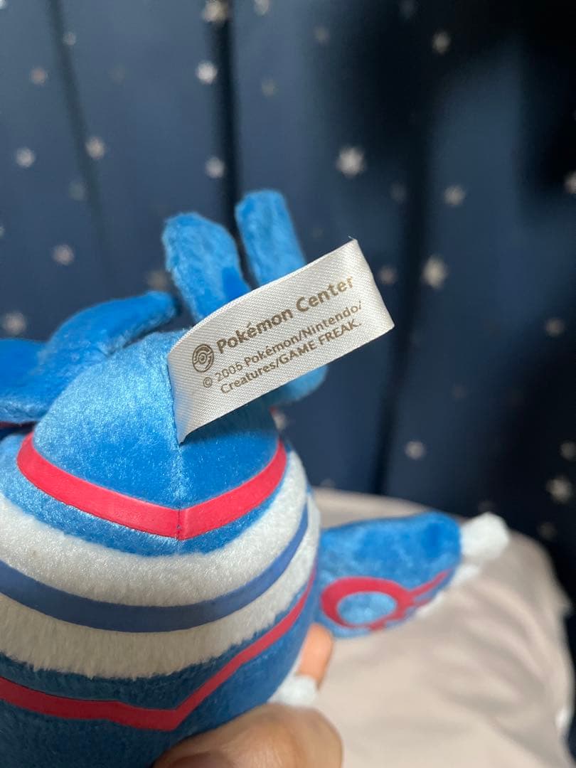 ポケドール カイオーガ 2005年 グラードン 大ぬいぐるみ 2004年