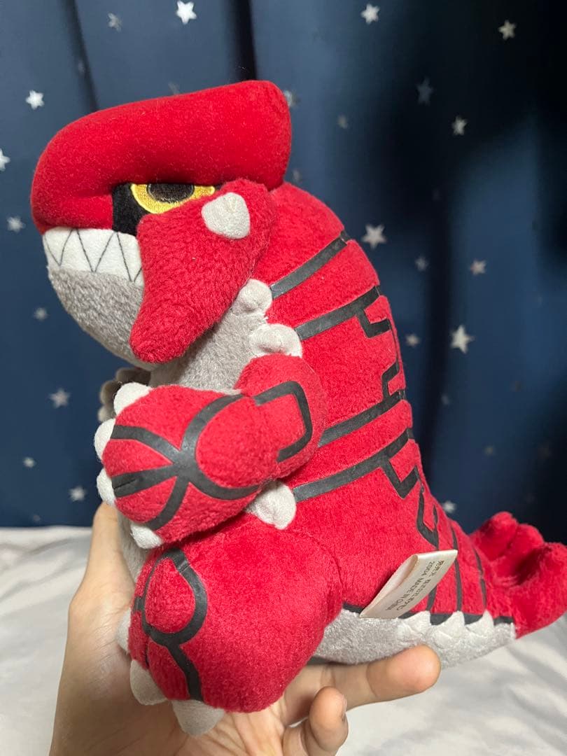 ポケドール カイオーガ 2005年 グラードン 大ぬいぐるみ 2004年