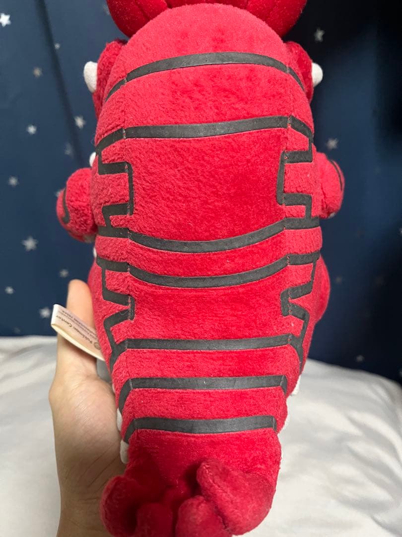 ポケドール カイオーガ 2005年 グラードン 大ぬいぐるみ 2004年