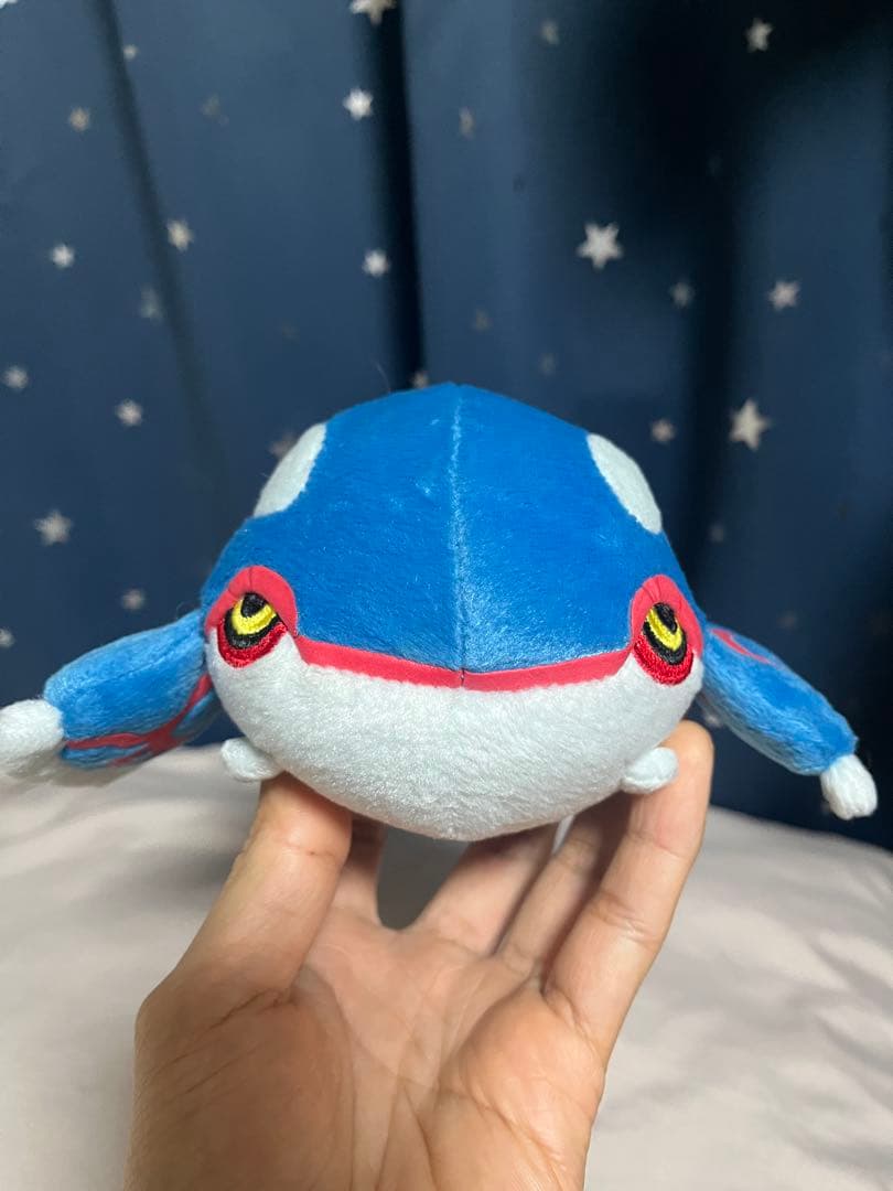 ポケドール カイオーガ 2005年 グラードン 大ぬいぐるみ 2004年