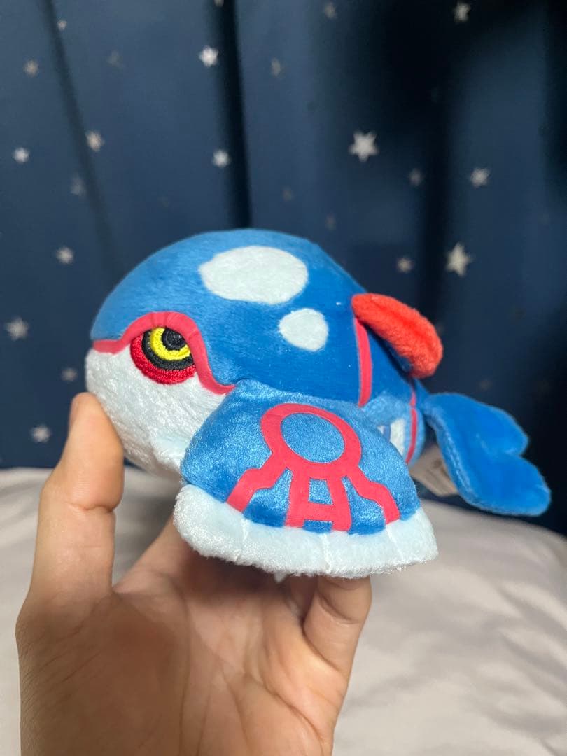 ポケドール カイオーガ 2005年 グラードン 大ぬいぐるみ 2004年