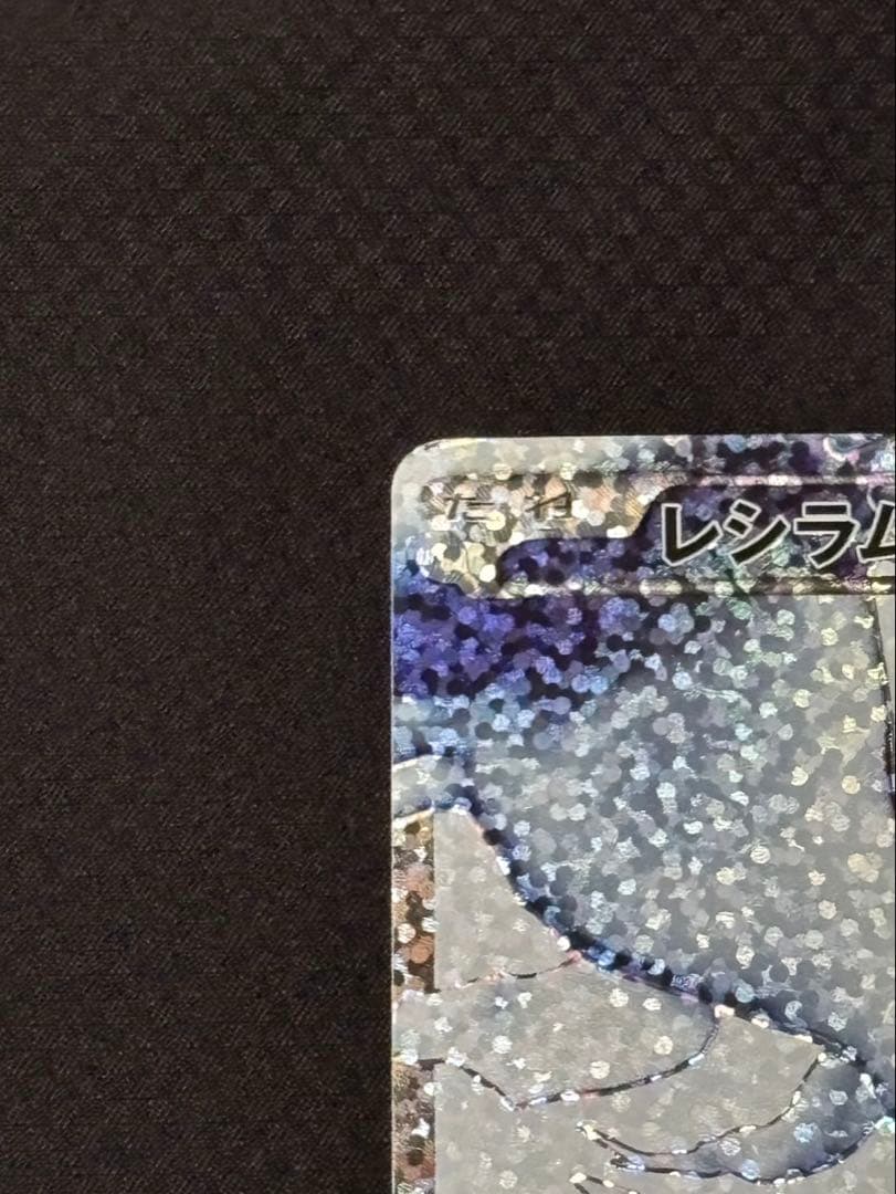 [連番]レシラム ゼクロム 25th