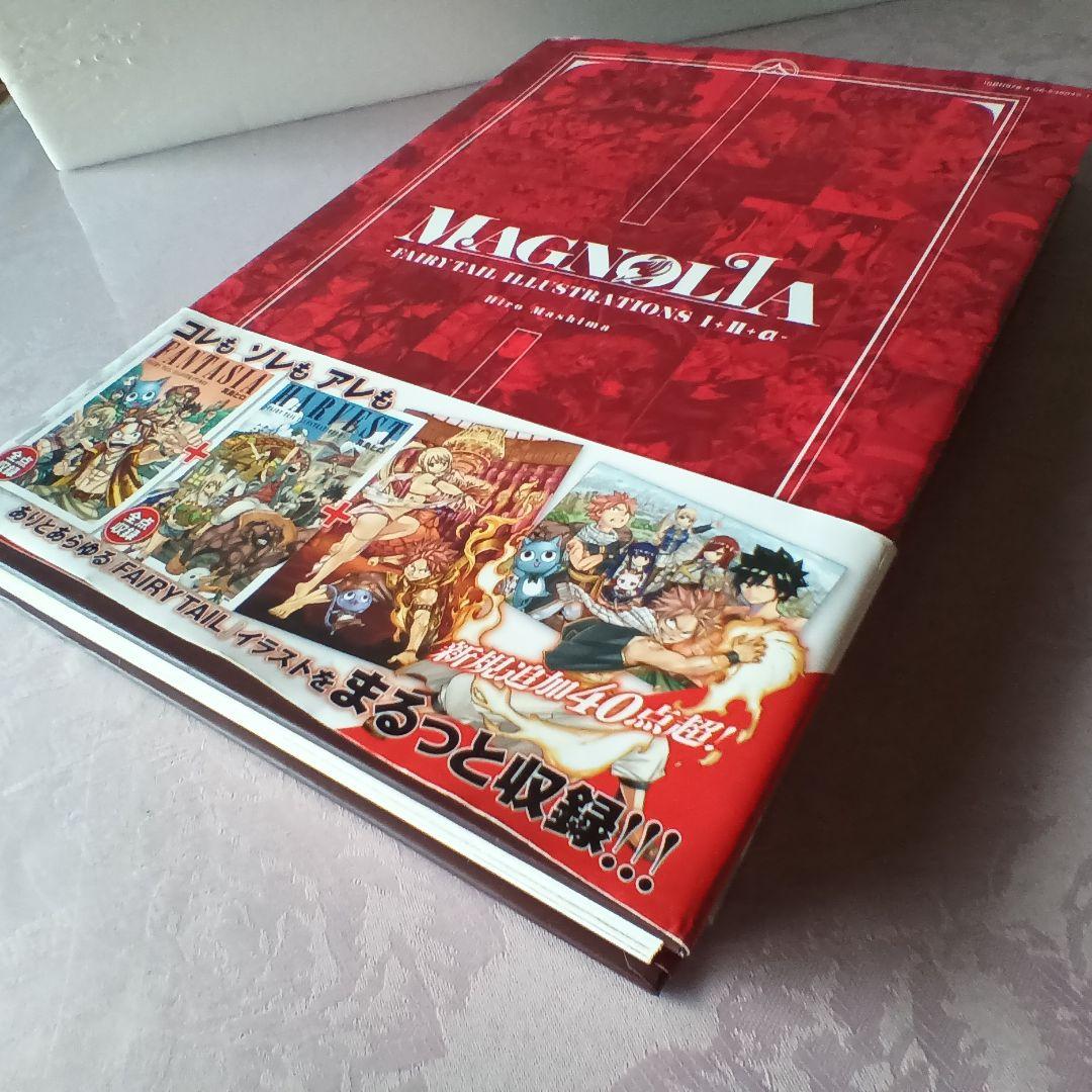 MAGNOLIA FAIRY TAIL イラスト集