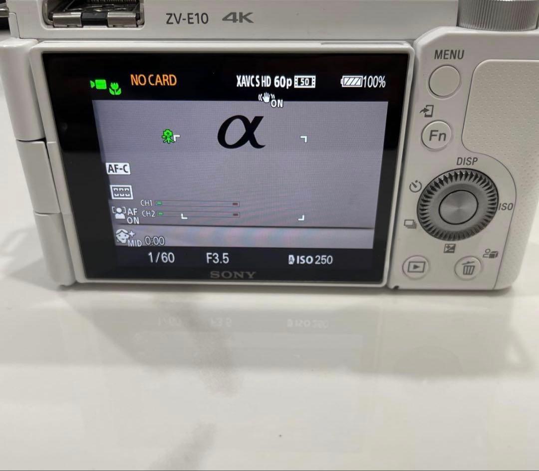 SONY ZV-E10 本体のみ 付属品、シリコンケース付き