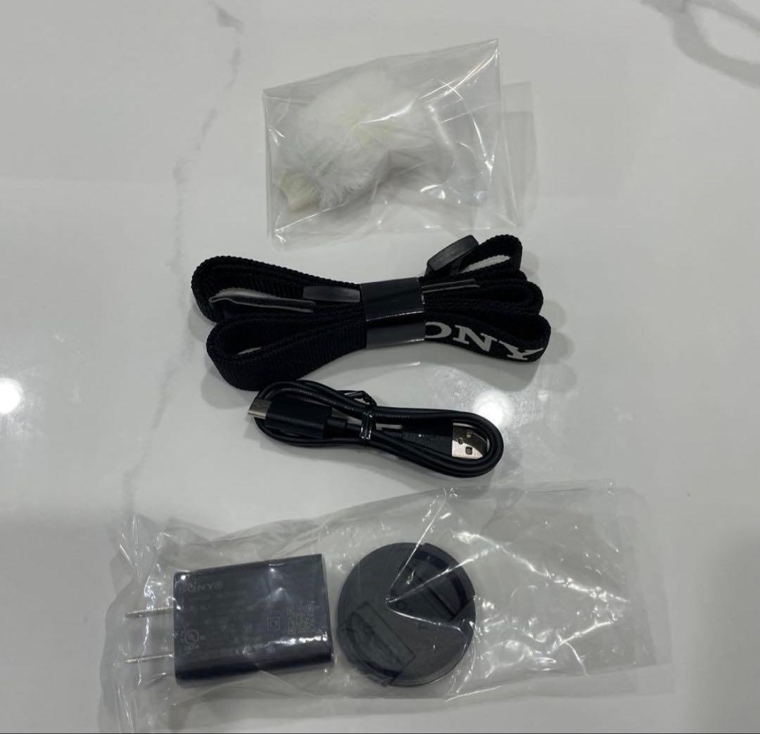 SONY ZV-E10 本体のみ 付属品、シリコンケース付き