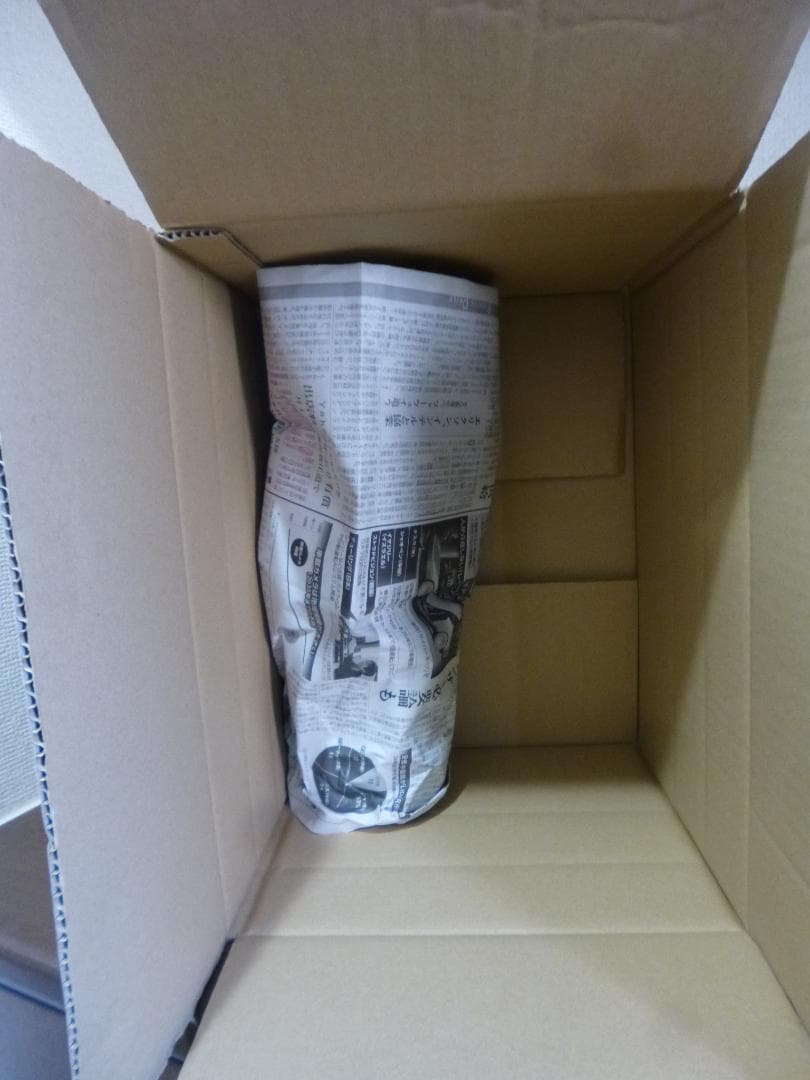 八重クリスマスローズカラフル開花株5株　ピンク、黄ブロッチ入り等