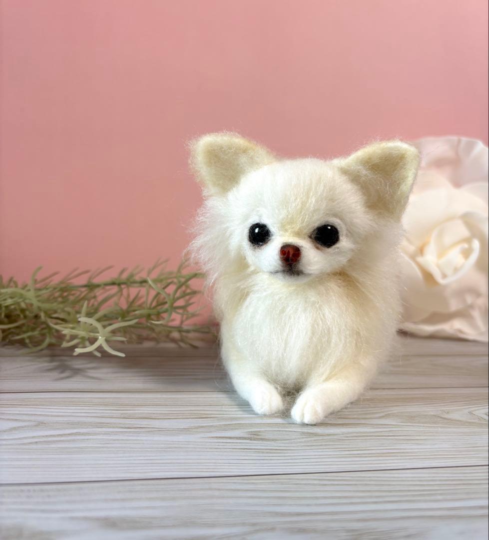 羊毛フェルト　おすましチワワ　no.55