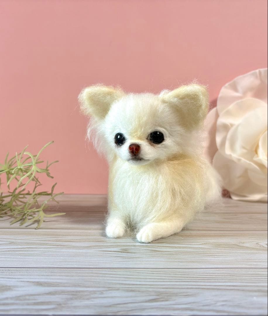 羊毛フェルト　おすましチワワ　no.55