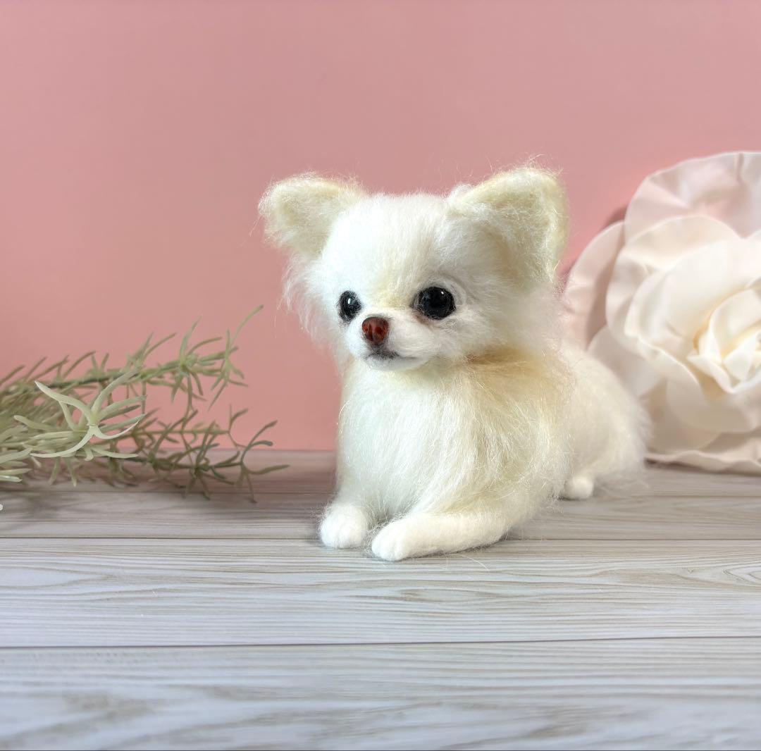羊毛フェルト　おすましチワワ　no.55