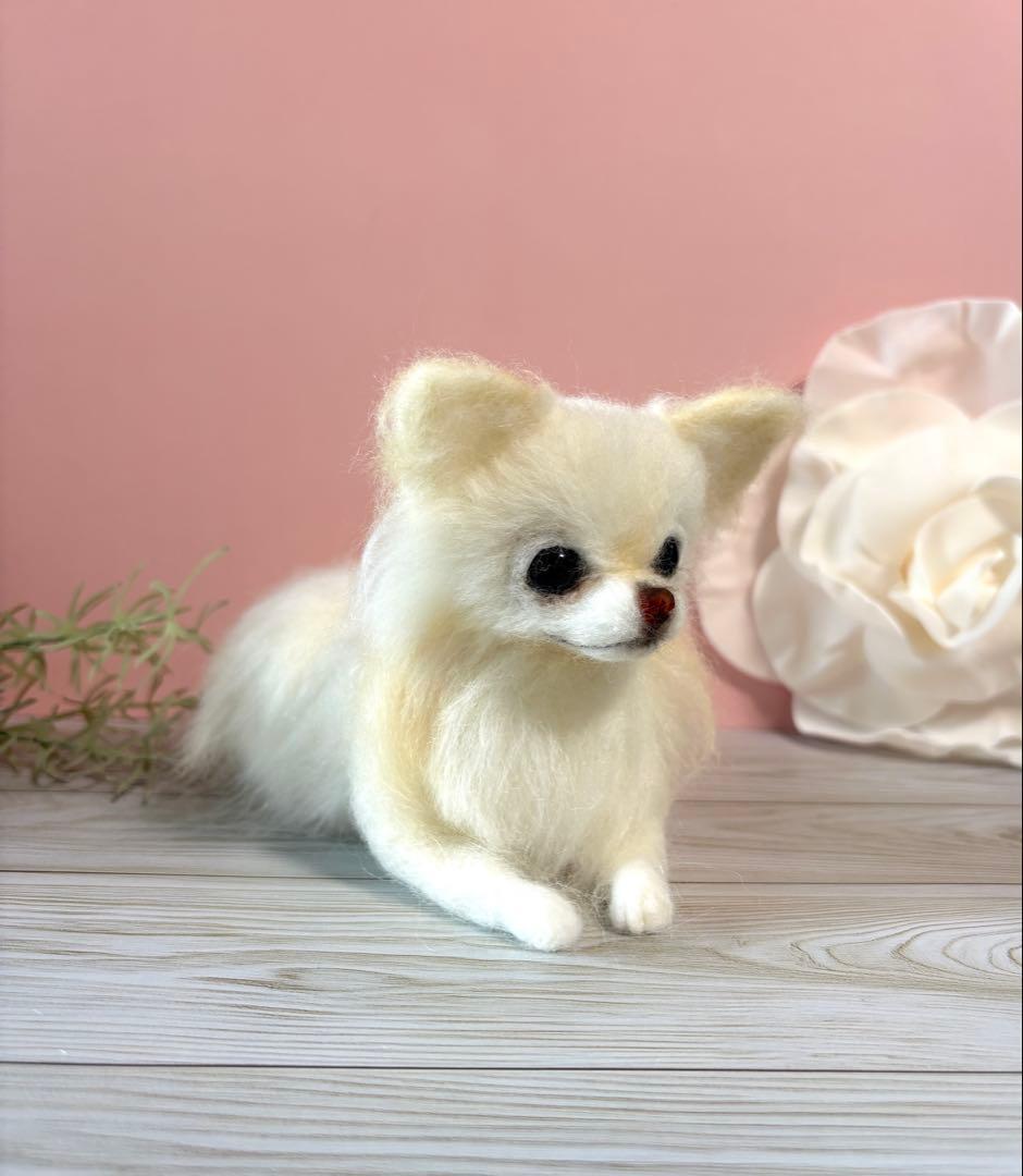 羊毛フェルト　おすましチワワ　no.55