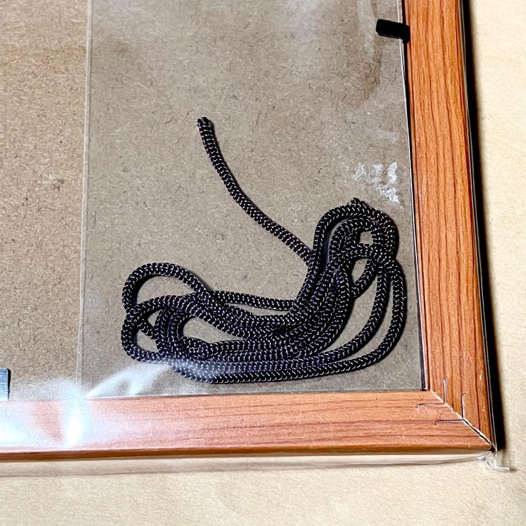 希少品！ Pabst Blue Ribbon パブストブルーリボン ポスター広告