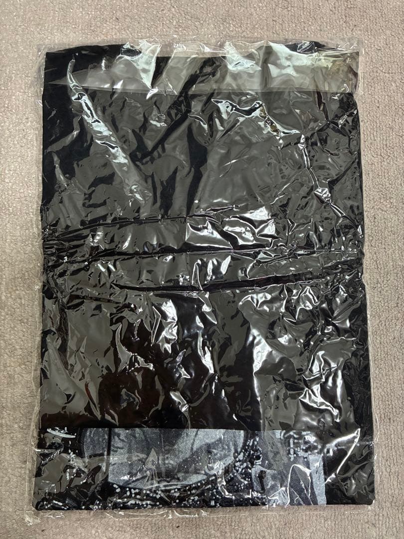 【未使用】Hi-STANDARD TSUNE ツネ Tシャツ Mサイズ ハイスタ