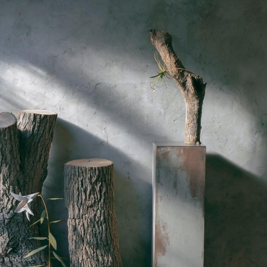 モリソン小林 morison kobayashi金属の風蘭