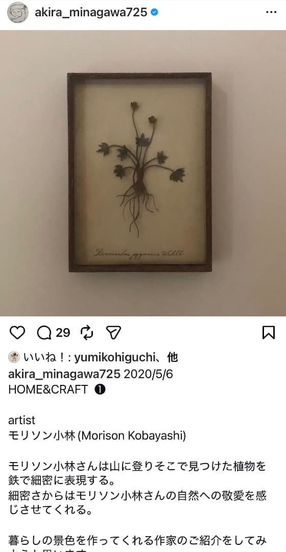 モリソン小林 morison kobayashi金属の風蘭