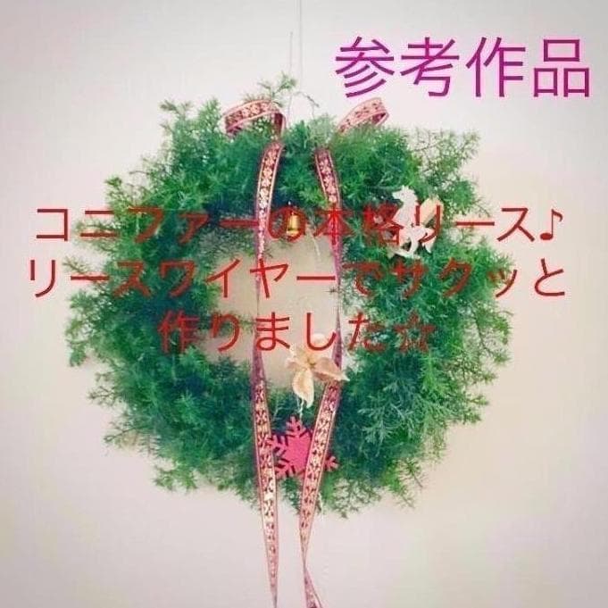 SS様ご予約品です☆ リースワイヤー＃23 　鉄色2本セット