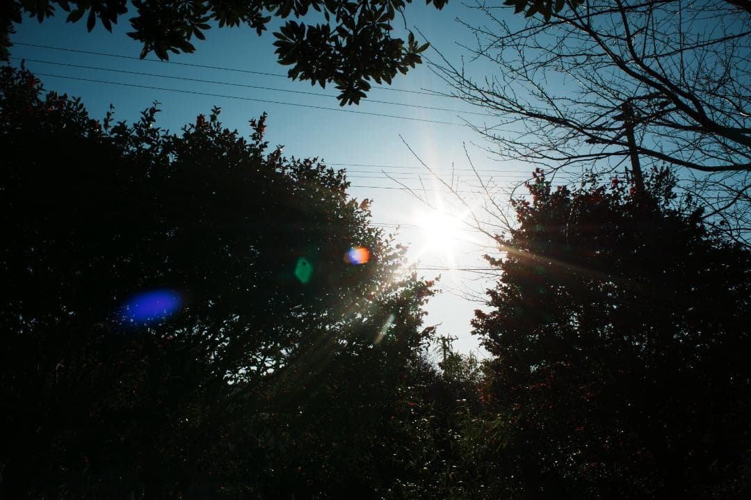 【極美品】動作◎ ミノルタ New MD 28mm F2.8 733