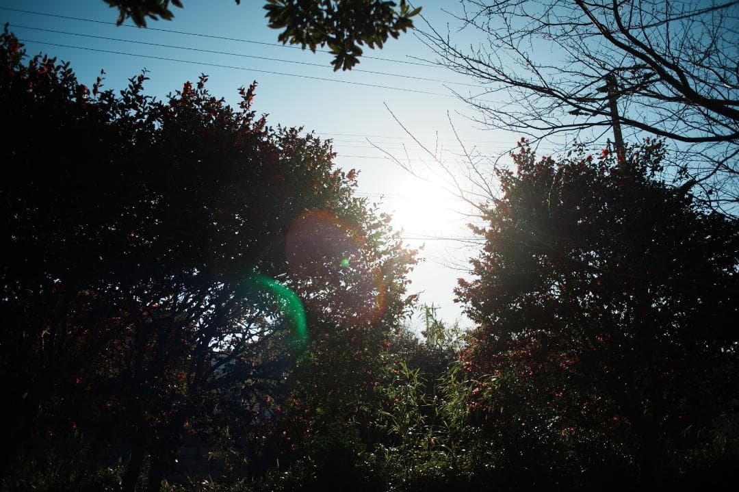 【極美品】動作◎ ミノルタ New MD 28mm F2.8 733