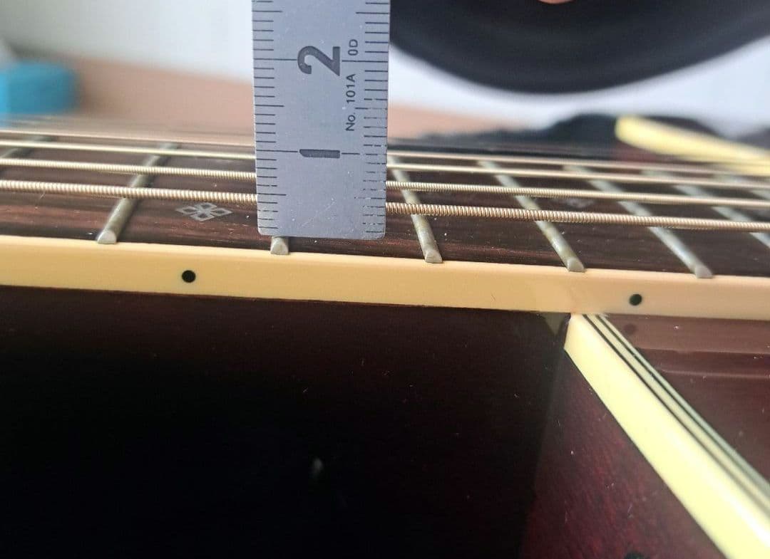 Takamine DMP551C WR アコースティックギター