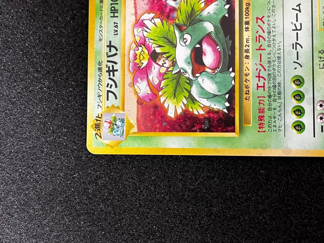 フシギバナ__CD ポケモン♪ベストソングコレクション おまけカード PROM…