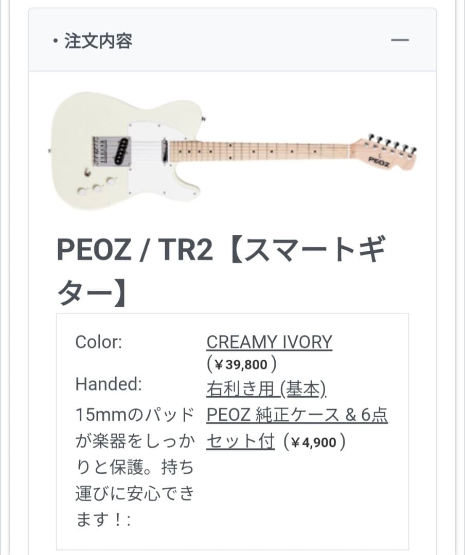 PEOZ TR2 CREAMY IVORY 純正ケース & 6点セット付