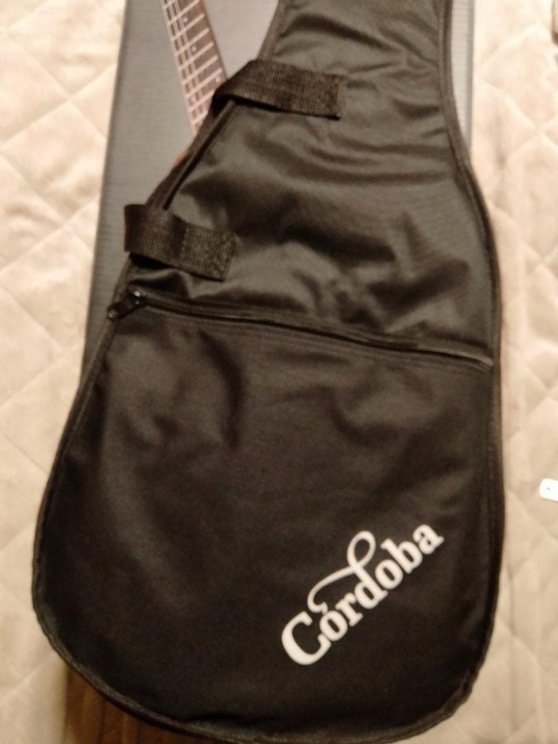 未使用 cordoba coco mini コルドバ ミニギター マホガニー