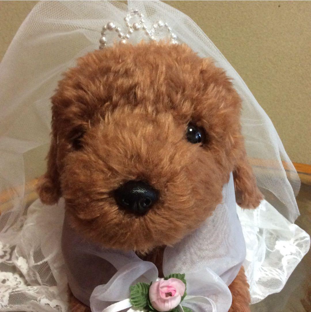 ウエディングドール ドック