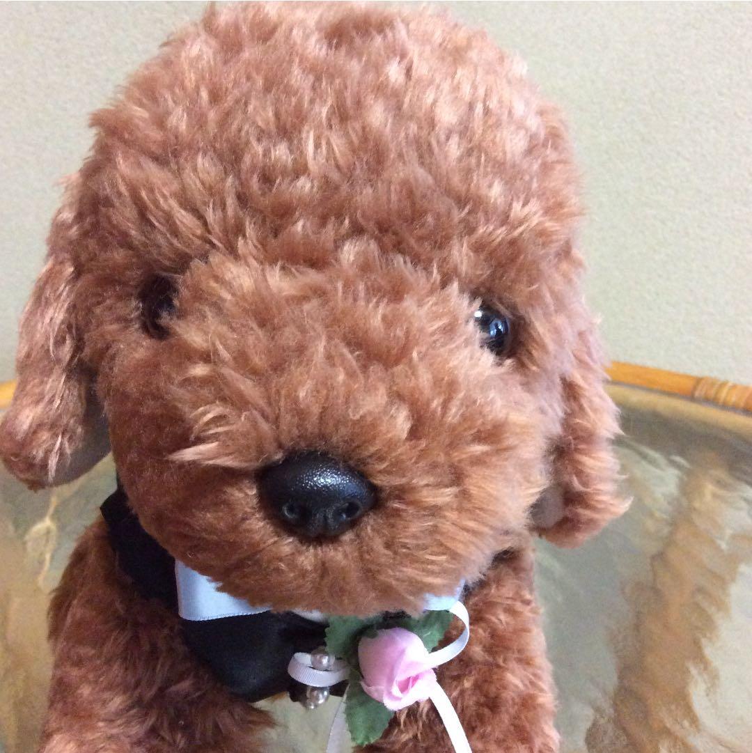 ウエディングドール ドック