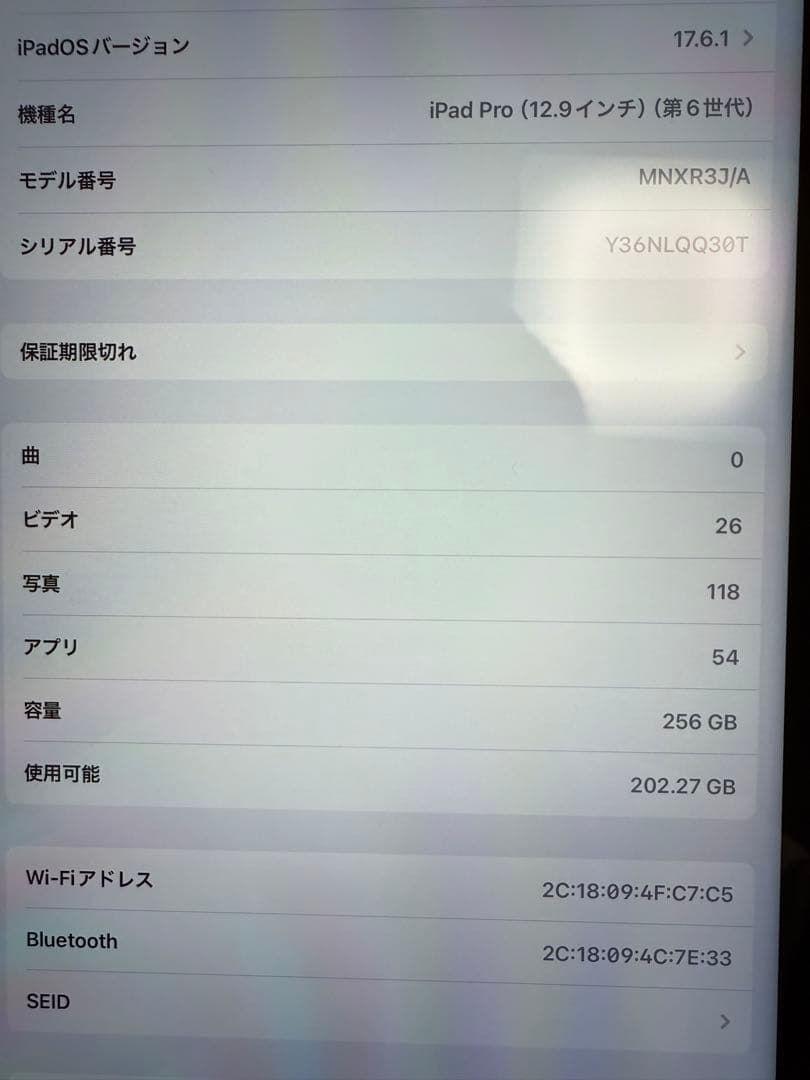 iPad本体 Apple iPad Pro 12.9 256GB