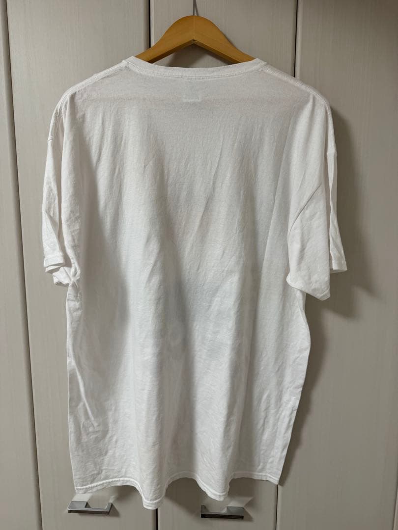 FRUIT OF THE LOOM sonic youth tシャツ