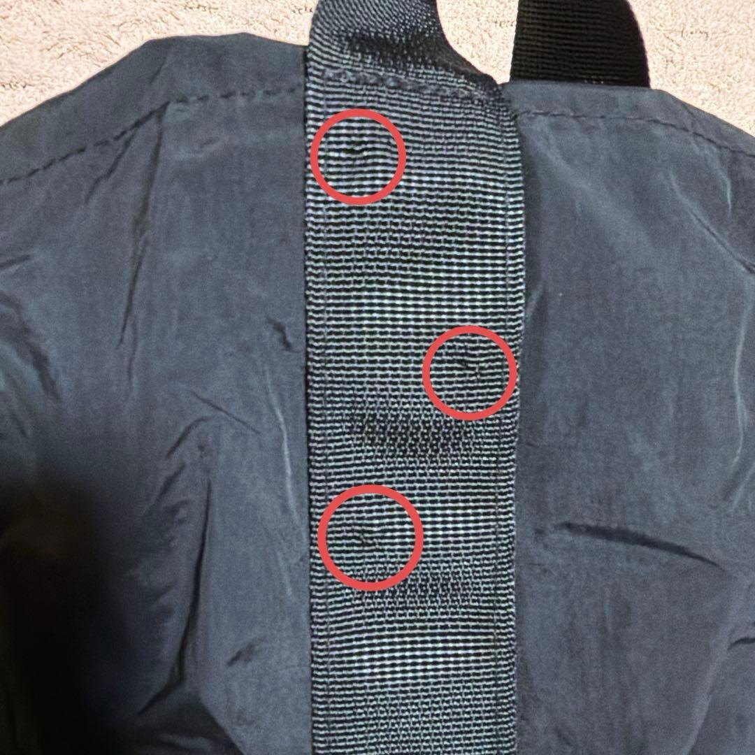 ☆ Stray Kids dominATE JAPAN ポータブルバッグ ☆