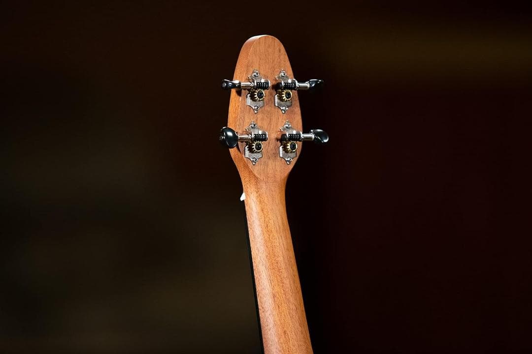 新品未使用 ORTEGA オルテガ ウクレレセット Samurai K2-S