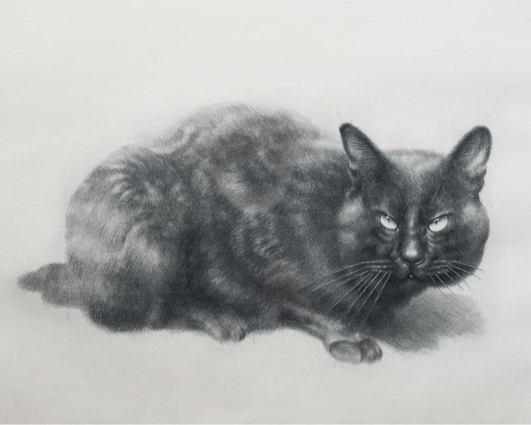 黒猫 モノクロ 版画 額装 アート インテリア ヴィンテージ