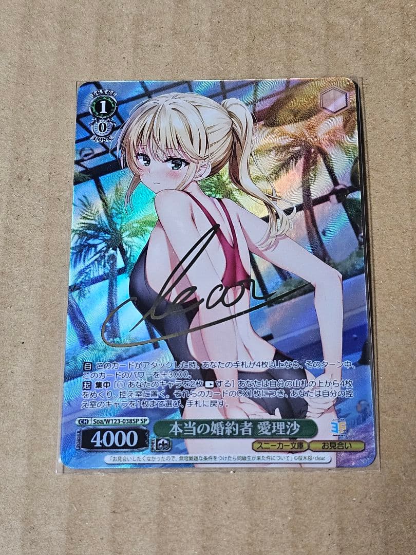 ヴァイスシュヴァルツ 角川スニーカー文庫Vol.2 本当の婚約者　愛理沙　SP