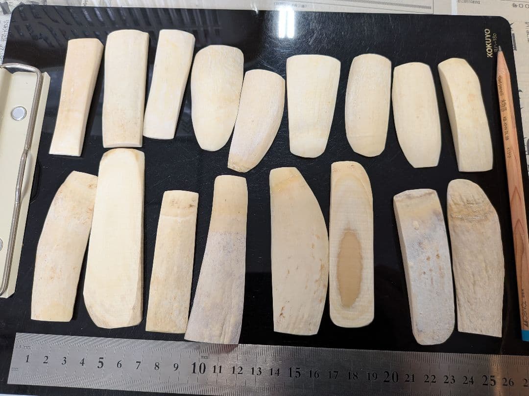 マッコウ鯨　本物荒削り済み立て切り