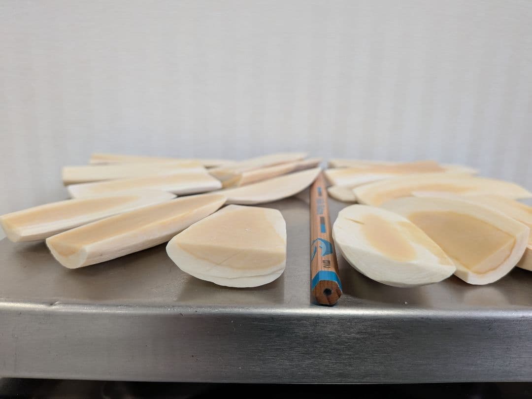 マッコウ鯨　本物荒削り済み立て切り