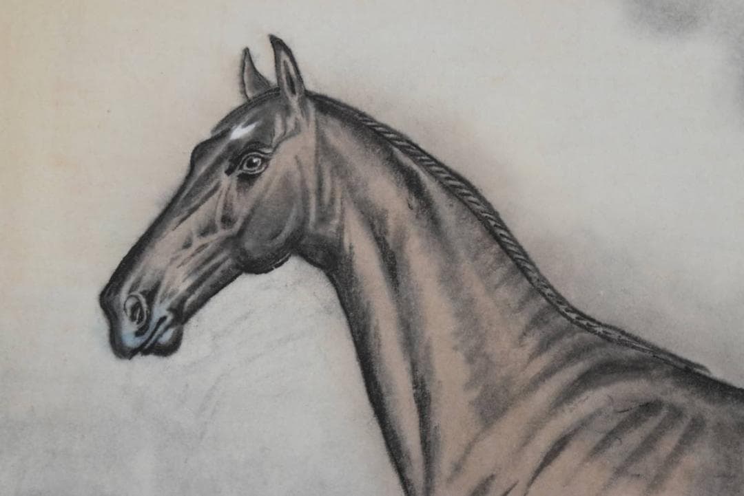 青峰/馬図/掛軸☆宝船☆AB-327