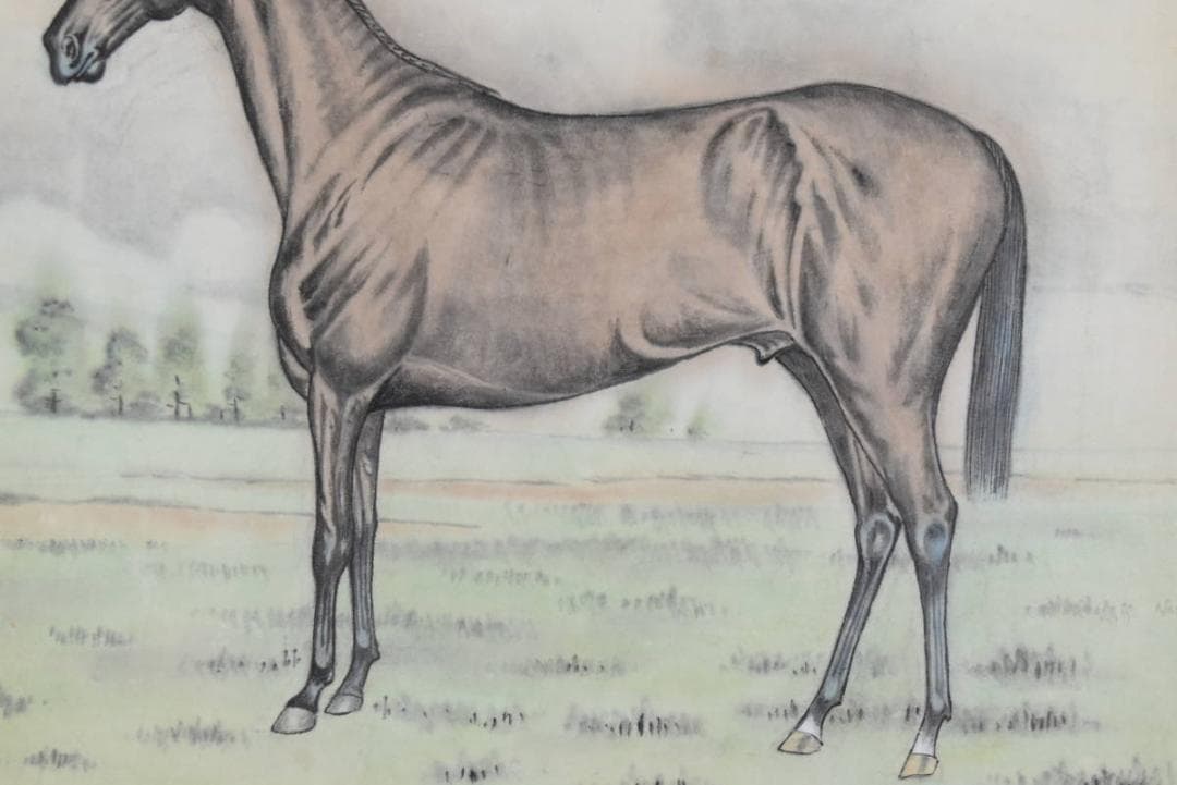 青峰/馬図/掛軸☆宝船☆AB-327