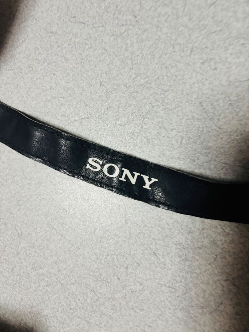 SONY α コンパクトデジタルカメラ NEX 3N