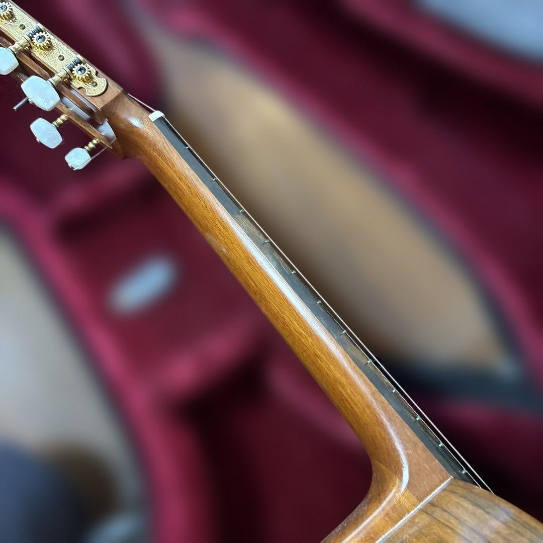 茶位幸信　NO-6 アルトギター